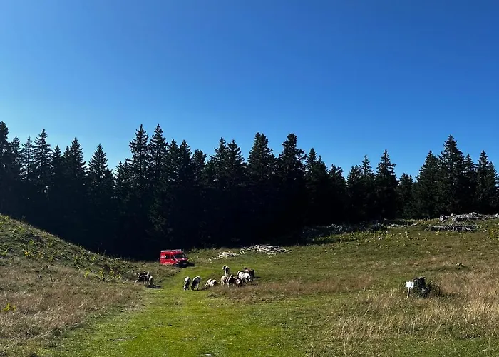 Eco Bivouac Village Igloos - Le Semnoz - A 20 Minutes D'annecy